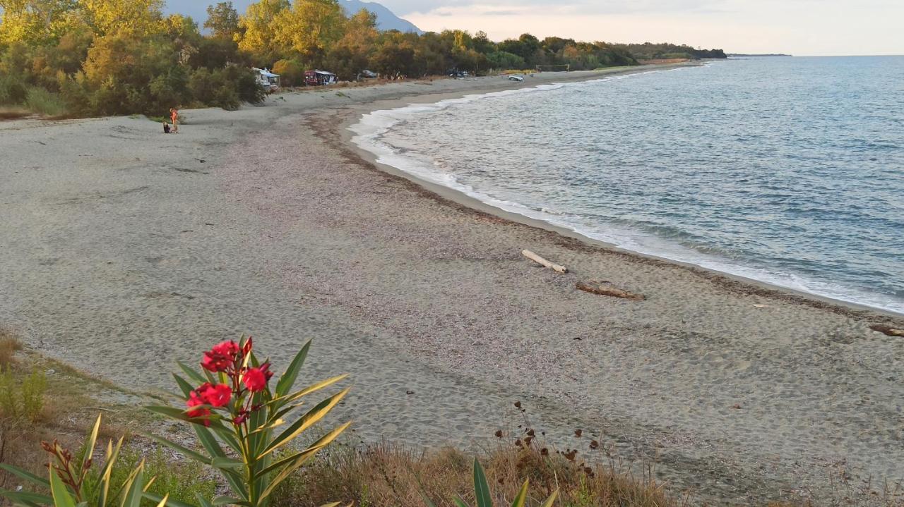 Les jardins de la mer - avec piscine - bord mer Leilighet Linguizzetta Eksteriør bilde