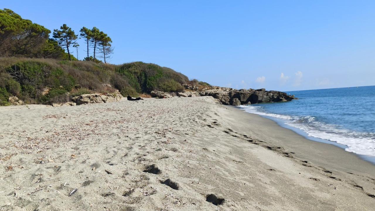 Les jardins de la mer - avec piscine - bord mer Leilighet Linguizzetta Eksteriør bilde