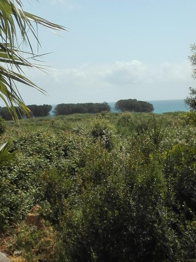 Les jardins de la mer - avec piscine - bord mer Leilighet Linguizzetta Eksteriør bilde